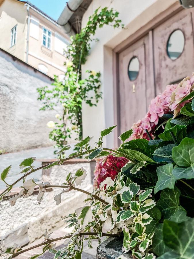 Divna Pani Luxury Gallery Rooms Banská Štiavnica Exterior foto